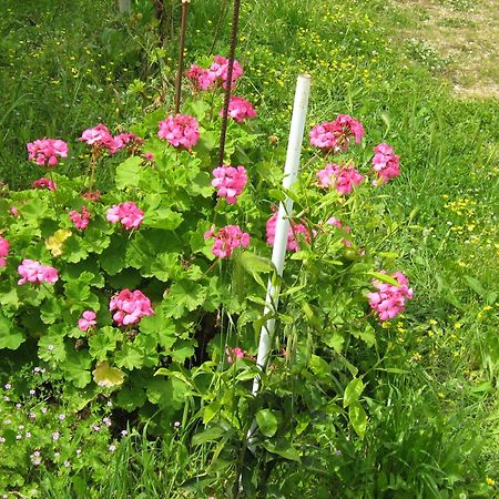Faneromeni Two Bed Apartment B Закінф Екстер'єр фото